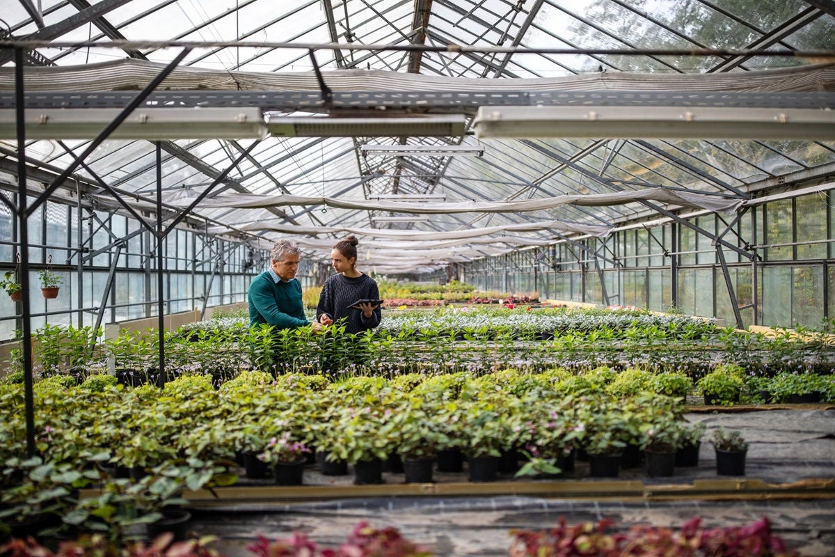 Two people stand together in a greenhouse, talking while surrounded by rows of potted plants.