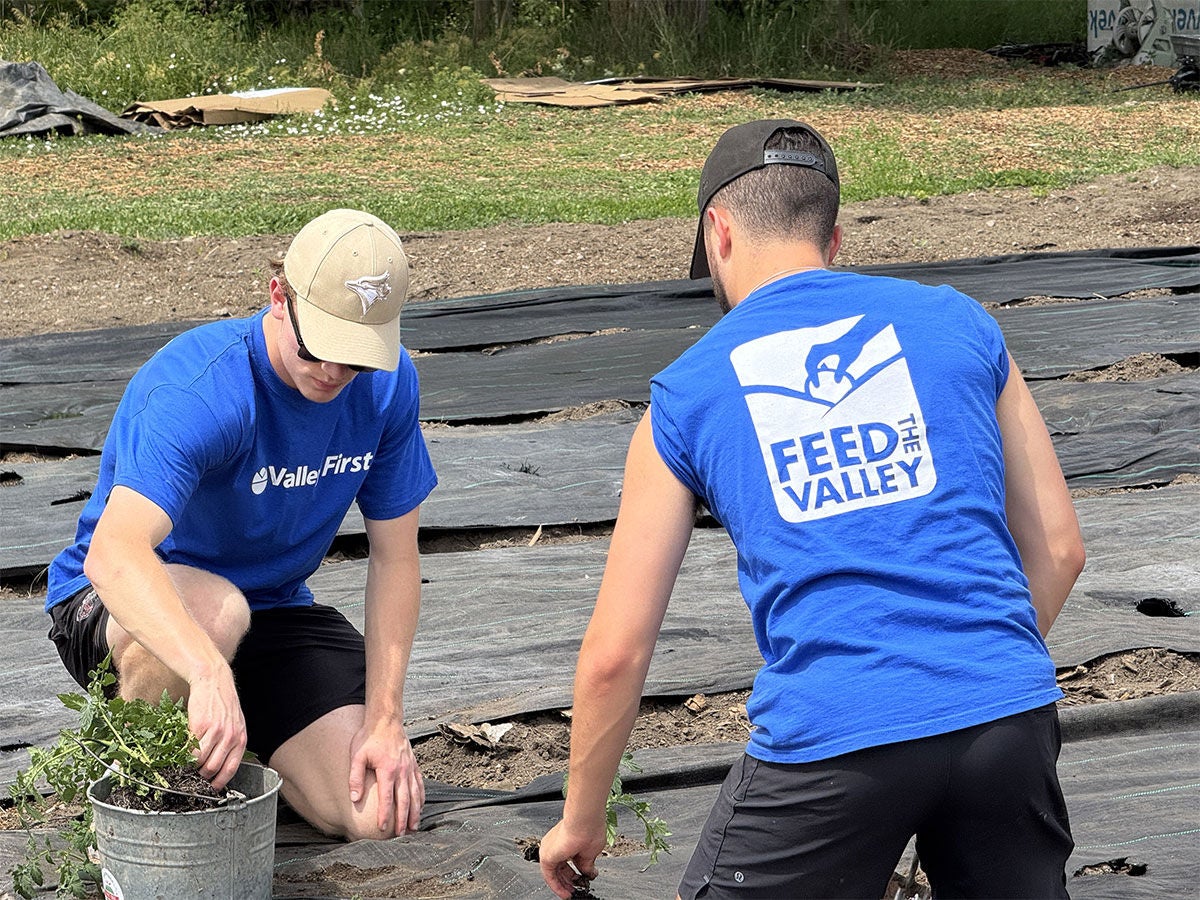 two volunteers gardening in a community garden